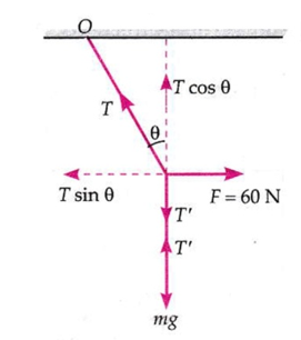 Numerical Problems Based on Equilibrium of Concurrent Forces for Class ...